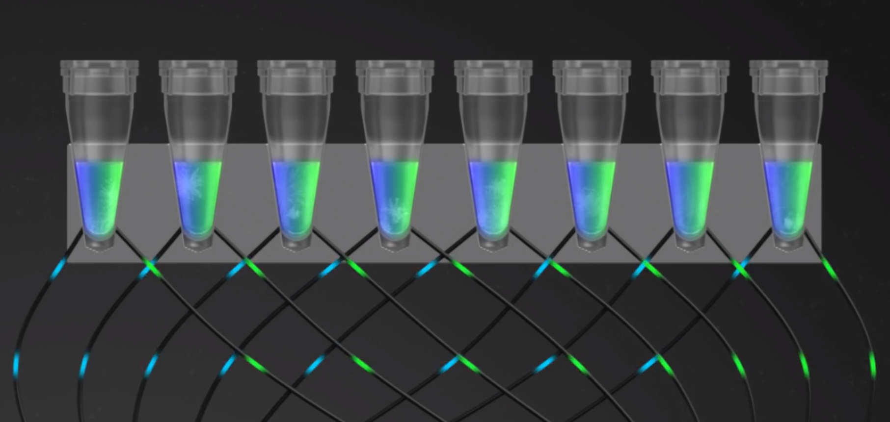 real time PCR fiber optic bundle